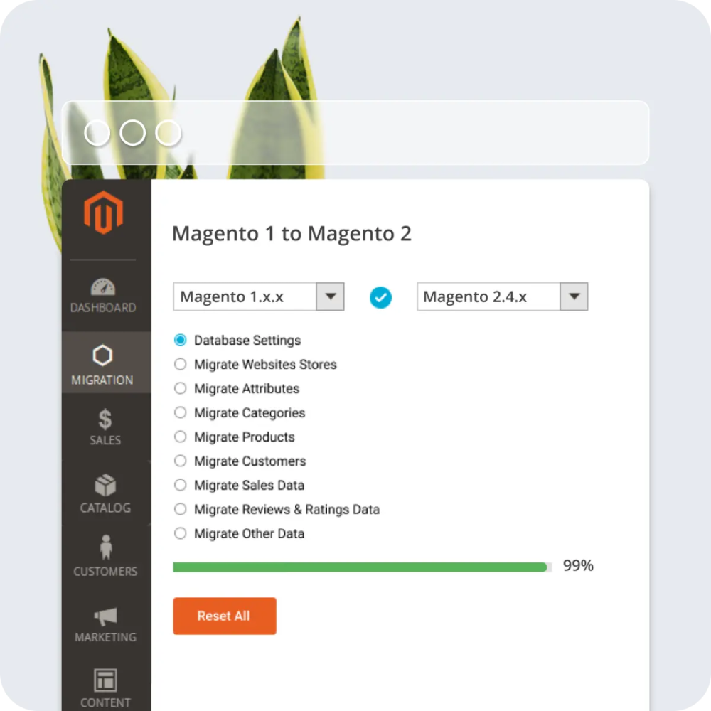 Magento 2 migration service